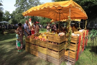 Dürfen beim Herbstfestival nicht fehlen: Äpfel, Kürbisse und Pflaumen. Foto: Evergreen, Kassel