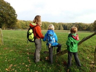 Herbstliches Wandern auf dem NORDPFAD Eichholz-Franzhorn (c) TouROW