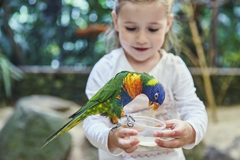 Indoorattraktionen für die ganze Familie im Weltvogelpark Walsrode. Foto: Weltvogelpark