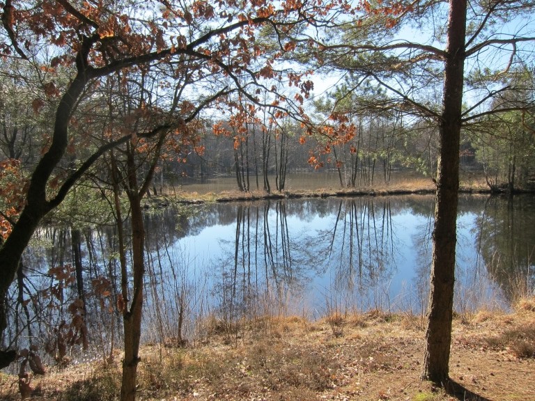 Kieselgurteiche am Heide-Panorama-Weg in Schwindebeck