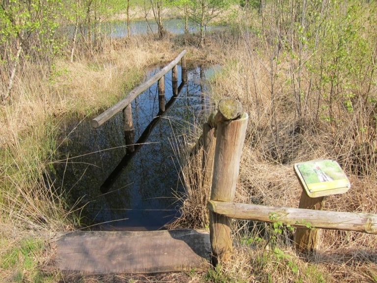 Kneippbecken im Tister Bauernmoor