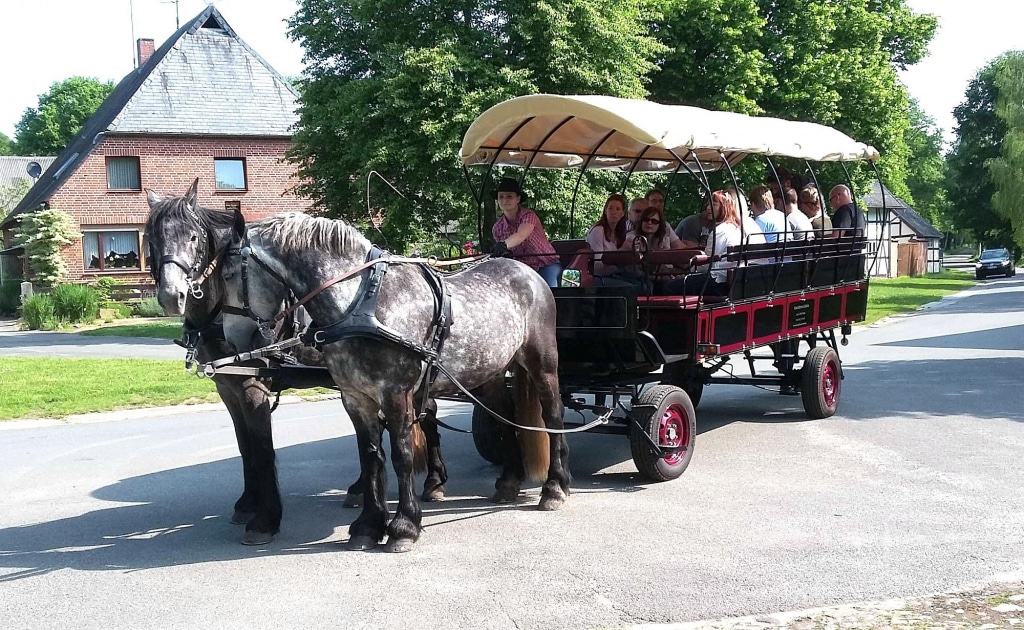 Im Angebot am Sonntag: Kutschfahrten zum Rundlingsdorf Satemin Foto: Rundlingsmuseum Wendlandhof Lübeln