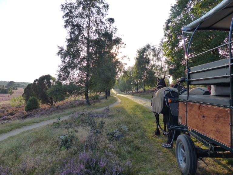 Kutschweg in Egestorf, Foto: Naturpark Lüneburger Heide