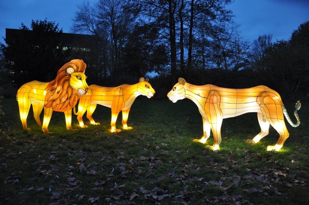 Neu: Lichtersafari 2017 - Foto: Serengeti-Park Hodenhagen