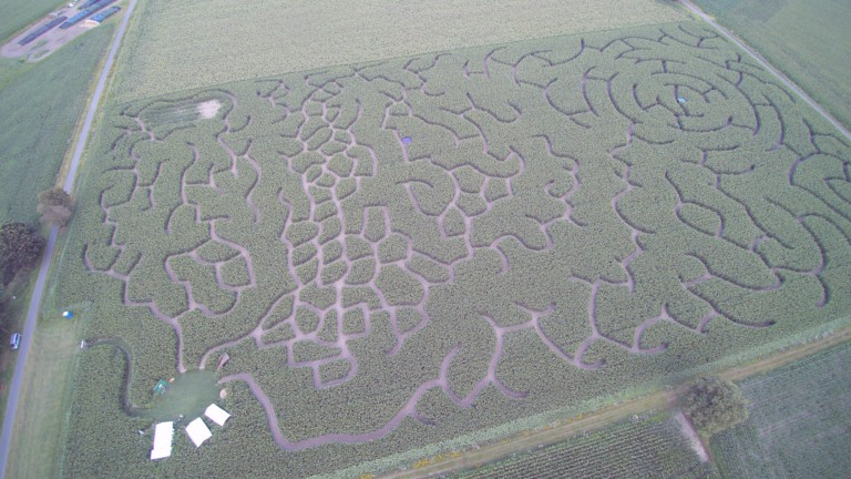 Maislabyrinth Rockstedt 2020 - Luftaufnahme Hans-Heinrich Heins