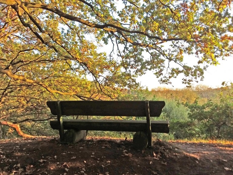 Bankblick ins Ostetal auf den NORDPFAD Ostetal Foto: TouROW