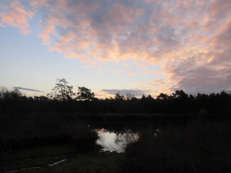 Novemberhimmel im Pietzmoor in Schneverdingen