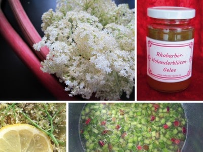 Köstliches Gelee aus Rhabarber und Holunderblüten