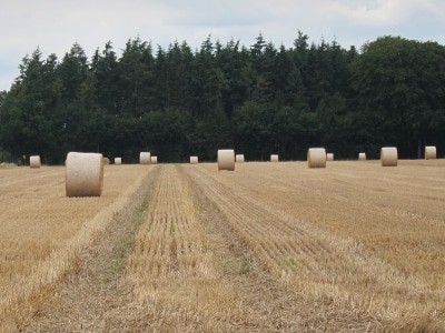 Große Rundballen auf Stoppelacker