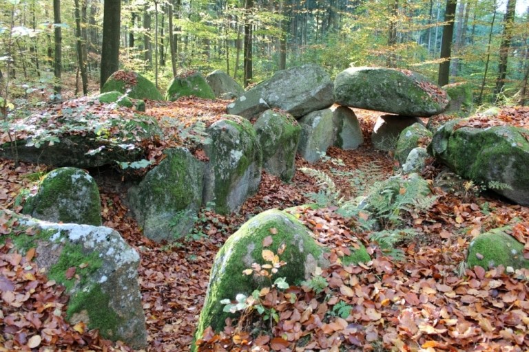 Der Weg führt den Wanderer durch den Schieringer Forst an fünf Großsteingräbern vorbei Foto: Andrea Schmidt