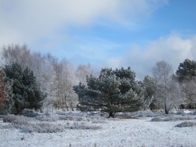 Es hat geschneit im Camp Reinsehlen bei Schneverdingen.