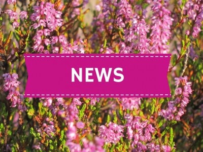 Aktuelle News aus der Lüneburger Heide und dem Umland | www.schoene-heide.de