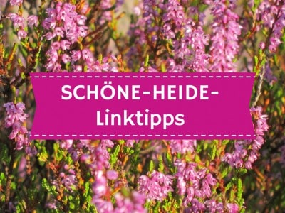 Aktuelle Linktipps auf www.schoene-heide.de
