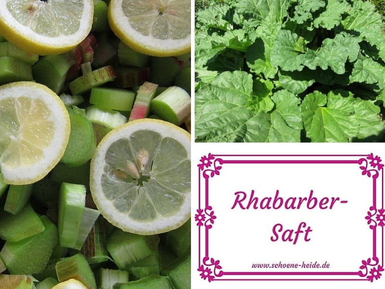 Collage Rhabarbersaft: Flaschenetikett, Rhabarberpflanze, Rhabarberstücke mit Zitronenscheiben
