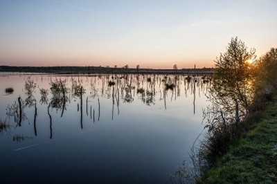 Aus der Sonderausstellung Moor im Winser Museumshof: Foto "Moorlandschaft" von Anne Friesenborg