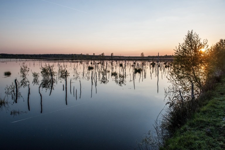 Aus der Sonderausstellung Moor im Winser Museumshof: Foto "Moorlandschaft" von Anne Friesenborg