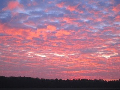 Weil es immer wieder schön ist: Sonnenaufgang im Februar über der Lüneburger Heide
