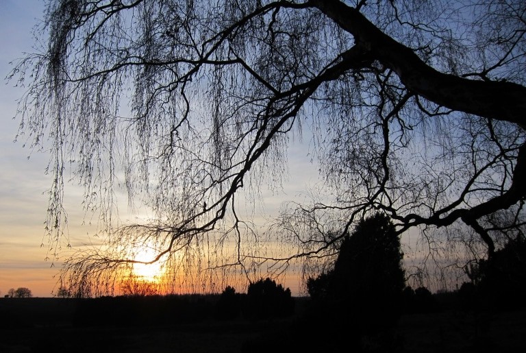 Sonnenuntergang über der Lüneburger Heide