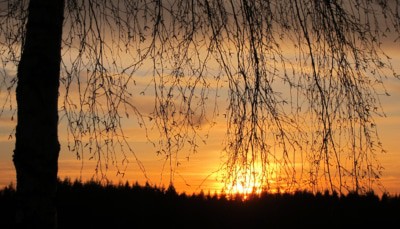 Sonnenuntergang im Februar