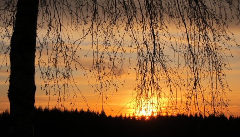 Sonnenuntergang im Februar