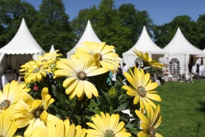 Ebenfalls im Angebot: Schätze für den Garten. Foto: Evergreen, Kassel