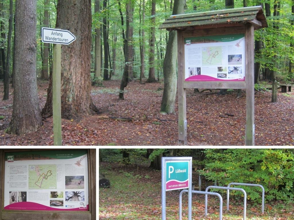 Am Wanderparkplatz "Lüßwald" - Ausgangspunkt der Wandertour 8 "Der Urwald im Lüß" in der Nähe von Unterlüß, Kreis Celle