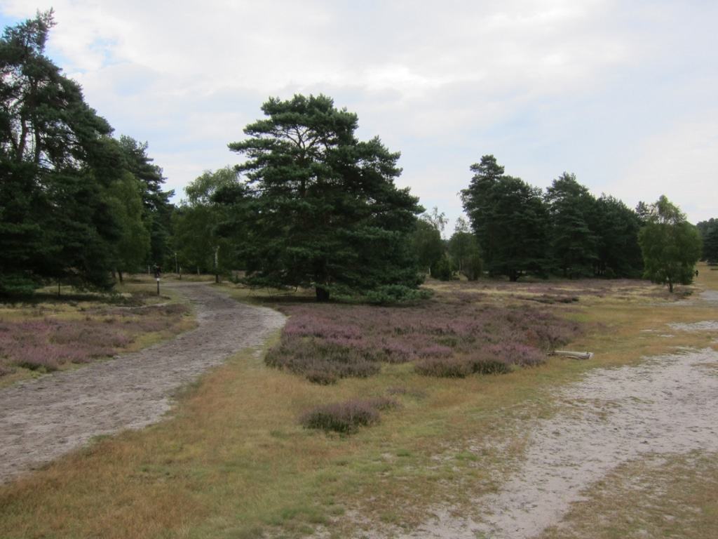 Heidepanoramaweg in der Misselhorner Heide - naturbelassener Sandweg