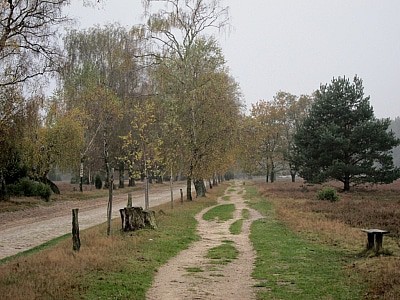 Wanderweg von Undeloh nach Wilsede durch die herbstliche Heidelandschaft