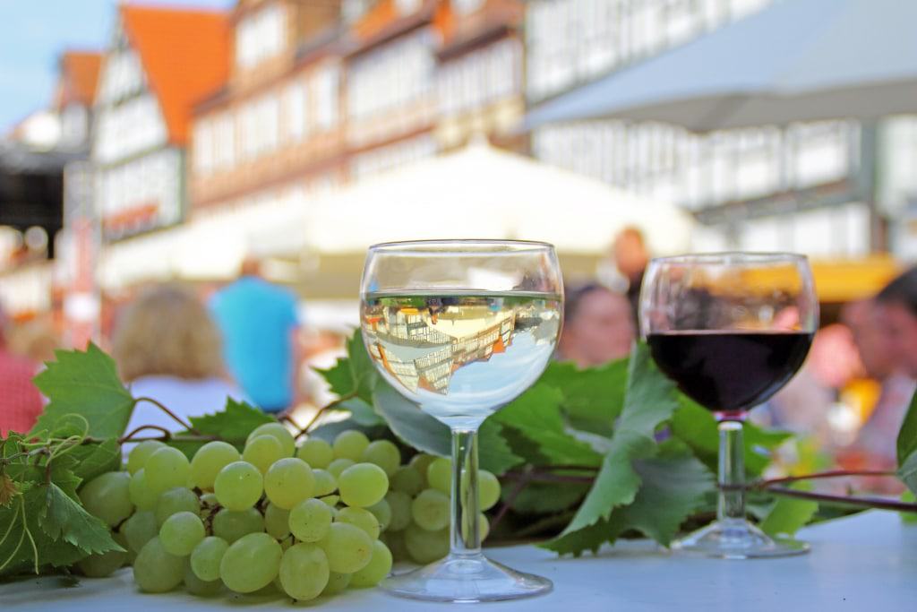 In Celle gibt es nicht nur einen Weinmarkt im Juli sondern auch einen Weinberg (Copyright: Celle Tourismus und Marketing GmbH, Fotografin: Nicole Mihelic)