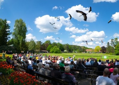 Finale der Flugschau im Weltvogelpark Walsrode