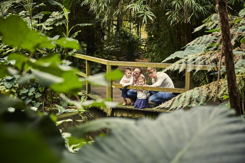 Im Weltvogelpark erleben die Besucher im Jungle Trail die faszinierende Vogelwelt des Regenwaldes. Foto: Weltvogelpark Walsrode