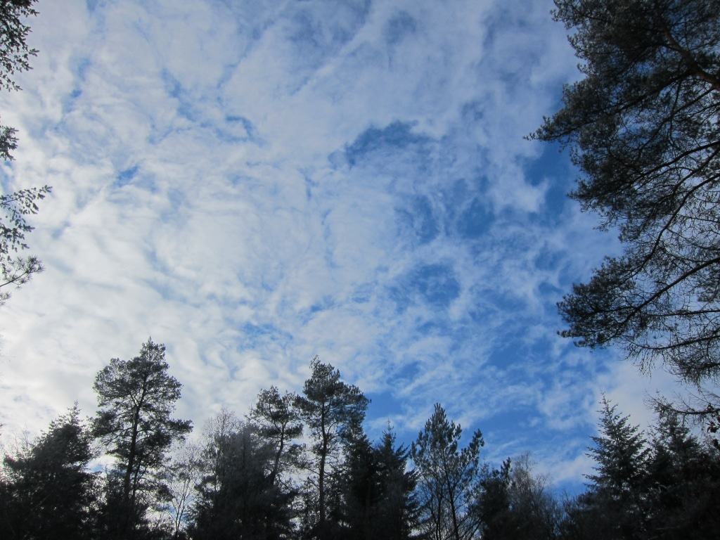 Winterhimmel über der Lüneburger Heide