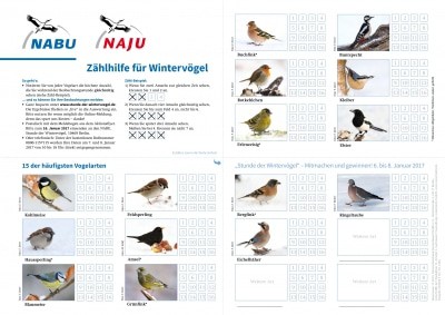 Zählhilfe zur Stunde der Wintervögel 2017 von NABU und LBV