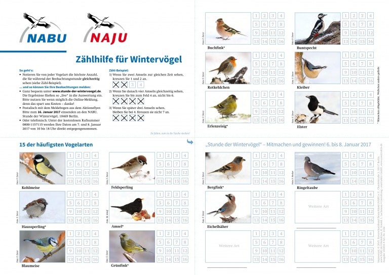 Zählhilfe zur Stunde der Wintervögel 2017 von NABU und LBV